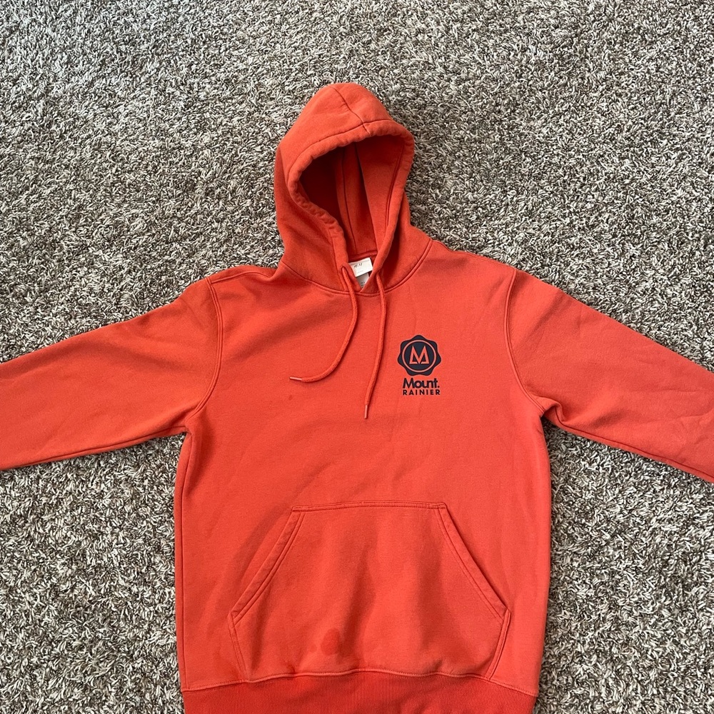 H&M Mount Rainer hoodie - Picture 5 of 11